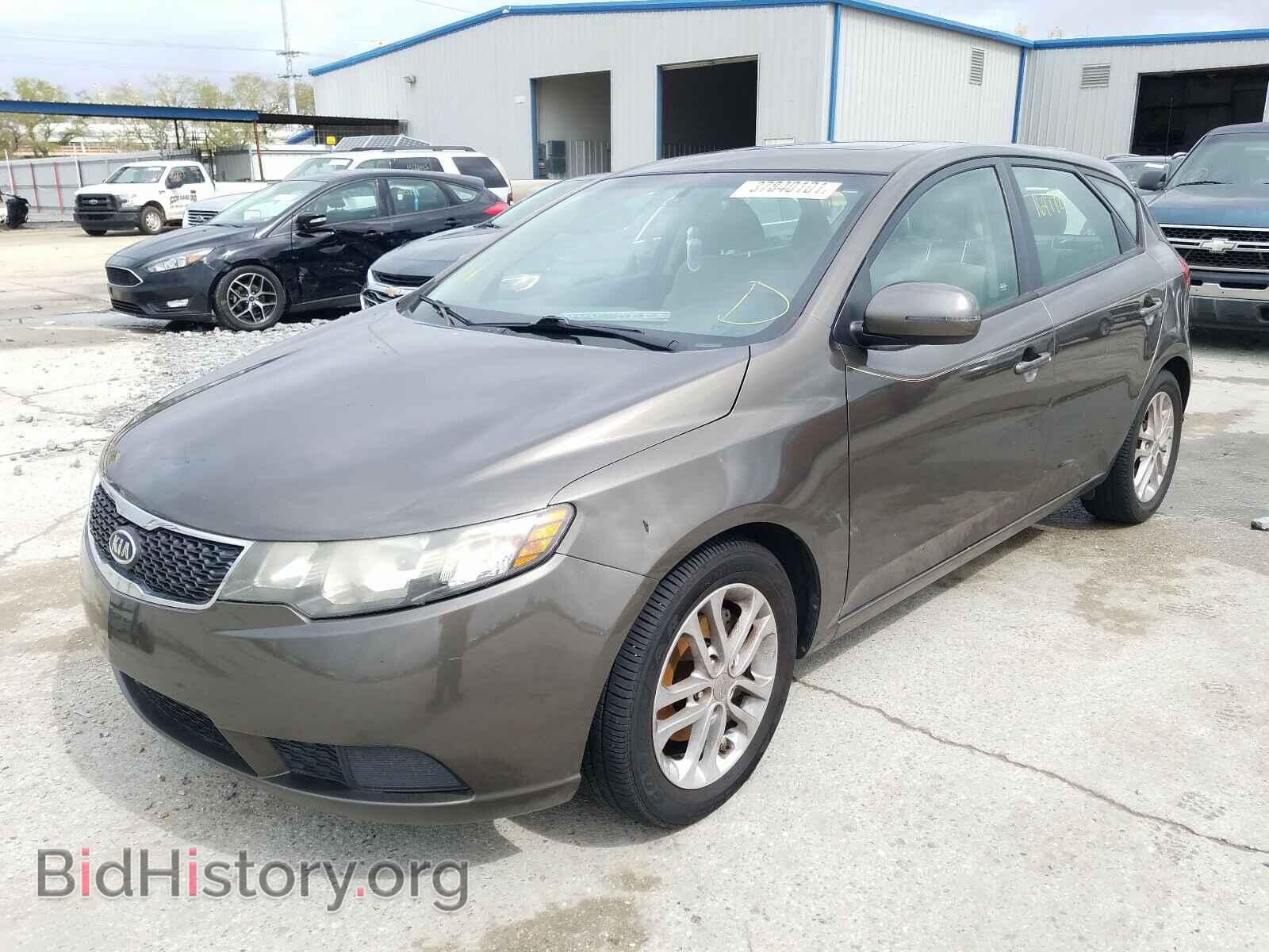 2012 KIA FORTE - VIN: KNAFU5A2XC5518066 - Фото 2