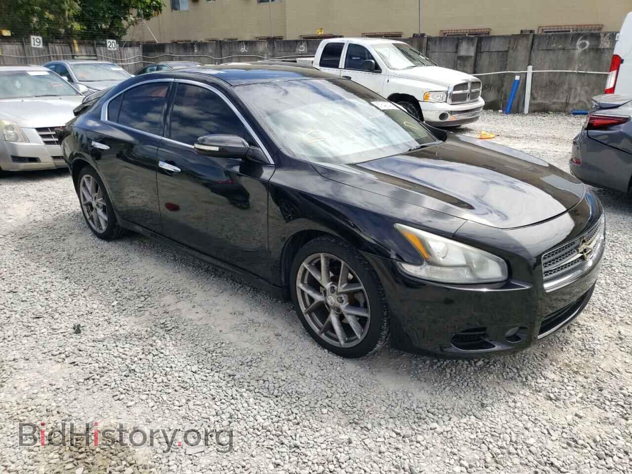 Photo 1N4AA5AP8BC856423 - NISSAN MAXIMA 2011