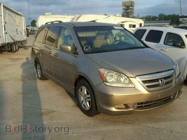 Photo 5FNRL38495B411624 - HONDA ODYSSEY 2005