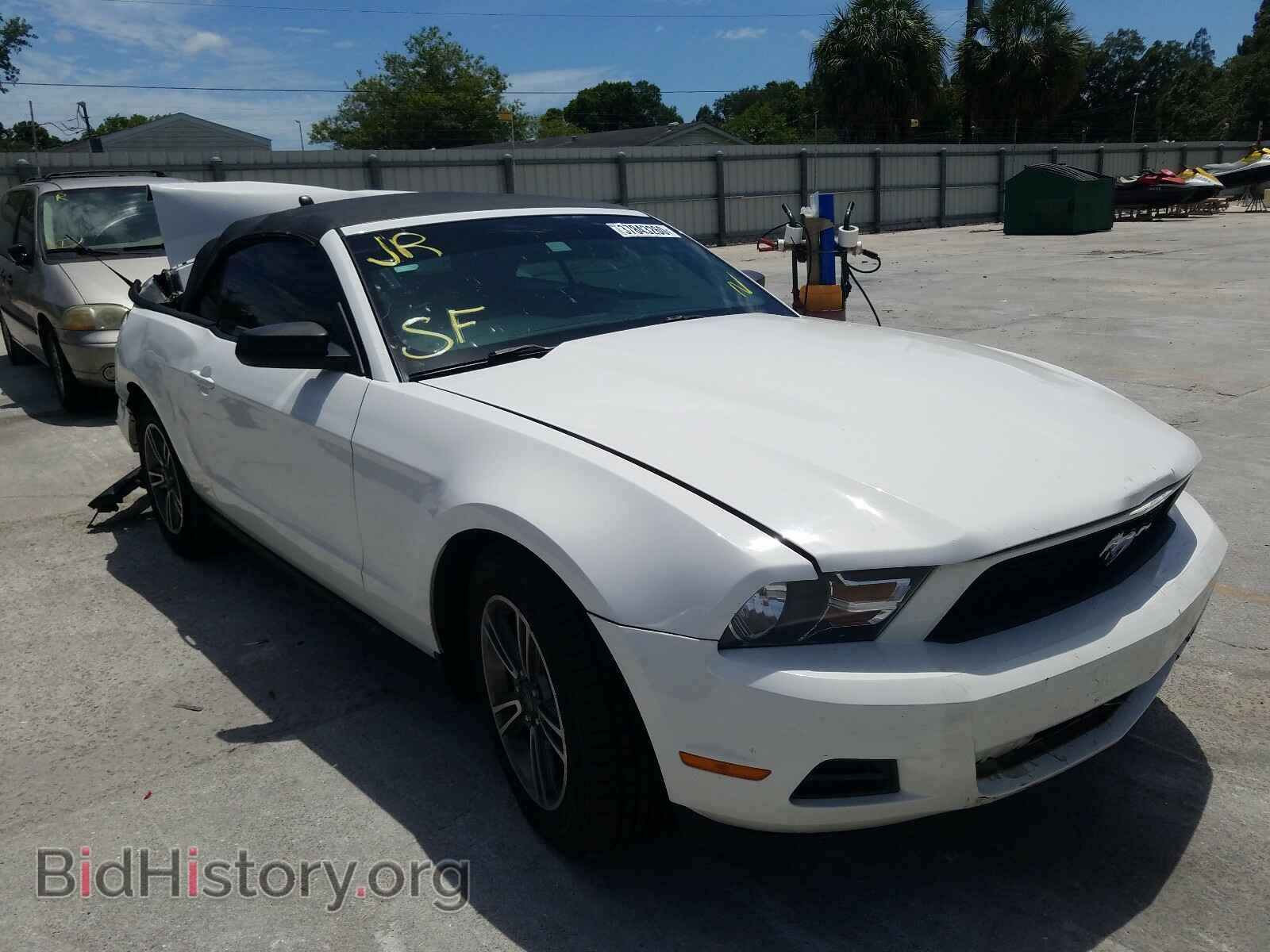 Фотография 1ZVBP8EM1C5235199 - FORD MUSTANG 2012