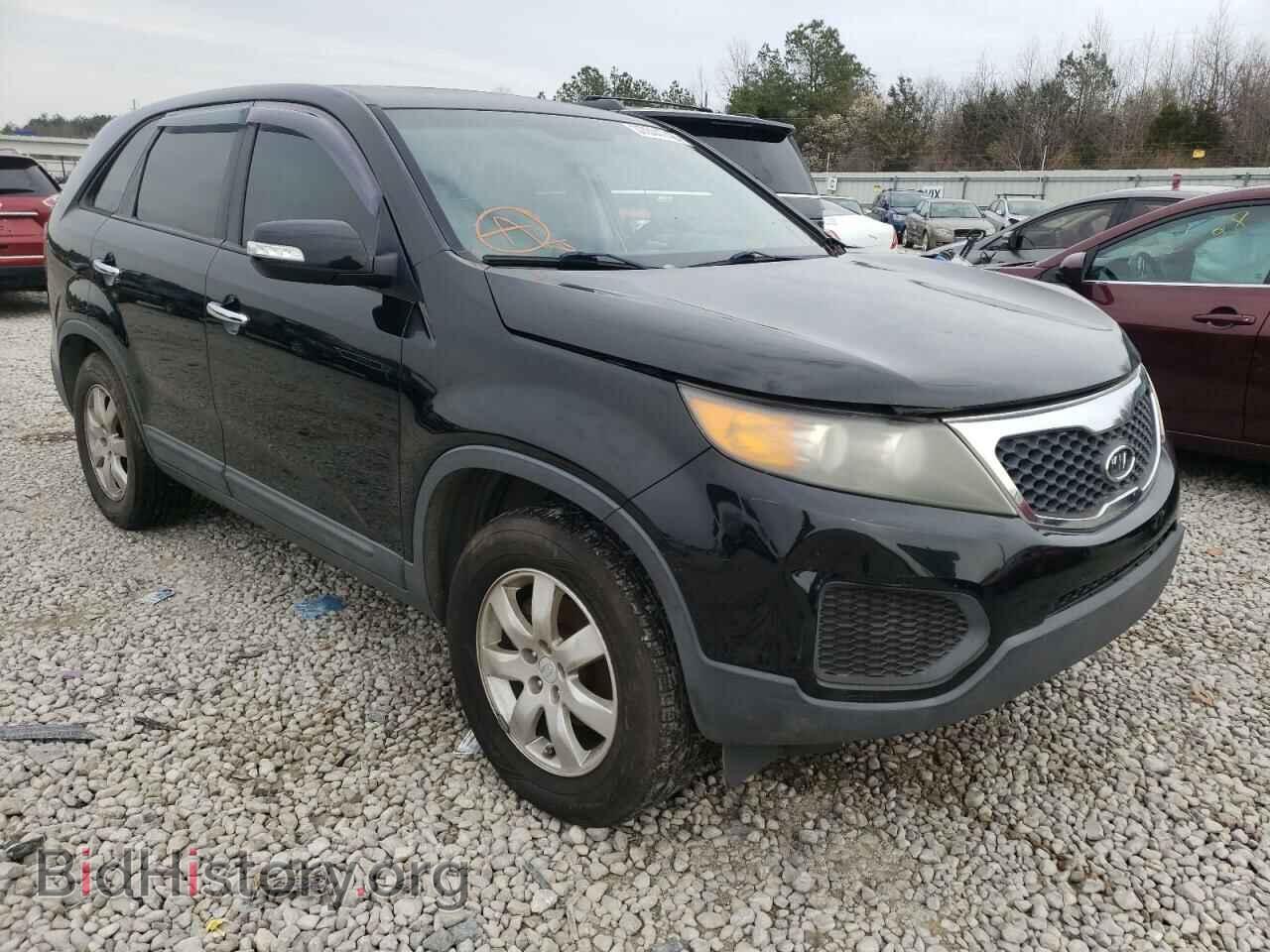 Photo 5XYKT3A17BG057074 - KIA SORENTO 2011