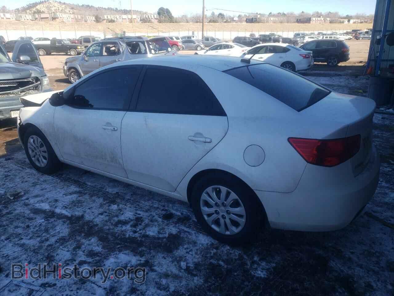 2013 KIA FORTE - VIN: KNAFU4A25D5711141 - Фото 2