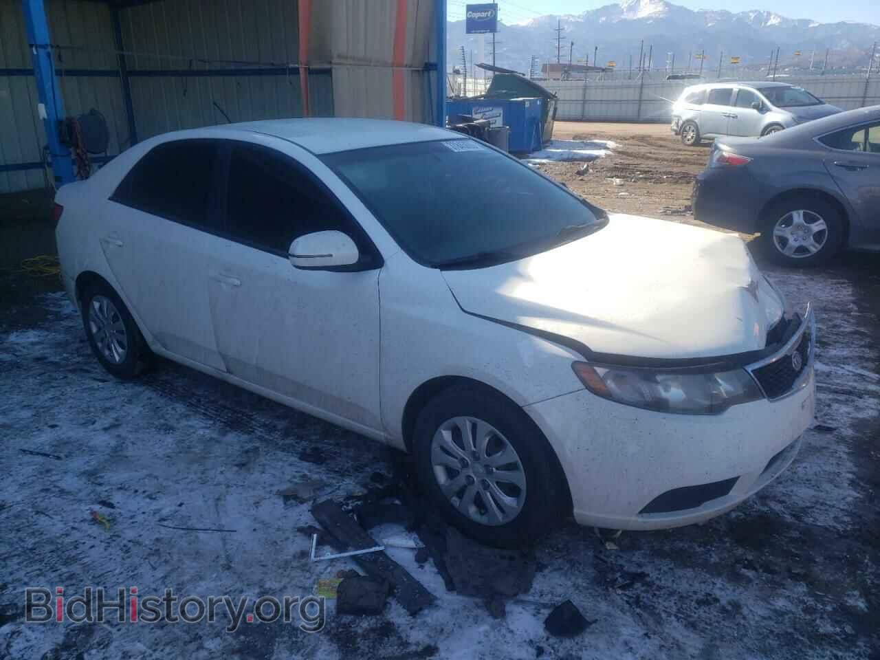 2013 KIA FORTE - VIN: KNAFU4A25D5711141 - Фото 4