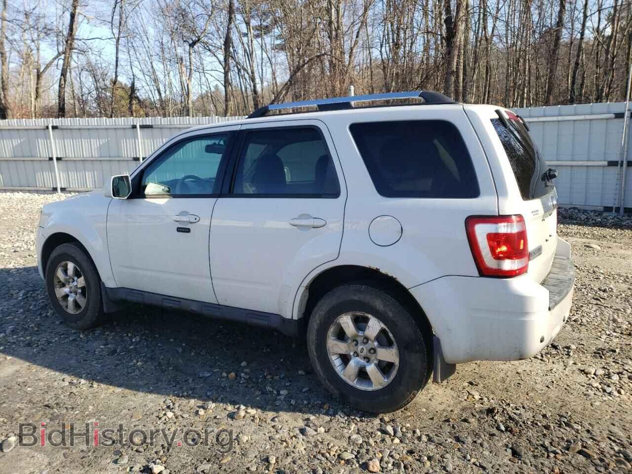 2011 FORD ESCAPE - VIN: 1FMCU9E78BKA99732 - Фото 2