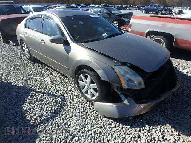 Photo 1N4BA41E05C855252 - NISSAN MAXIMA 2005