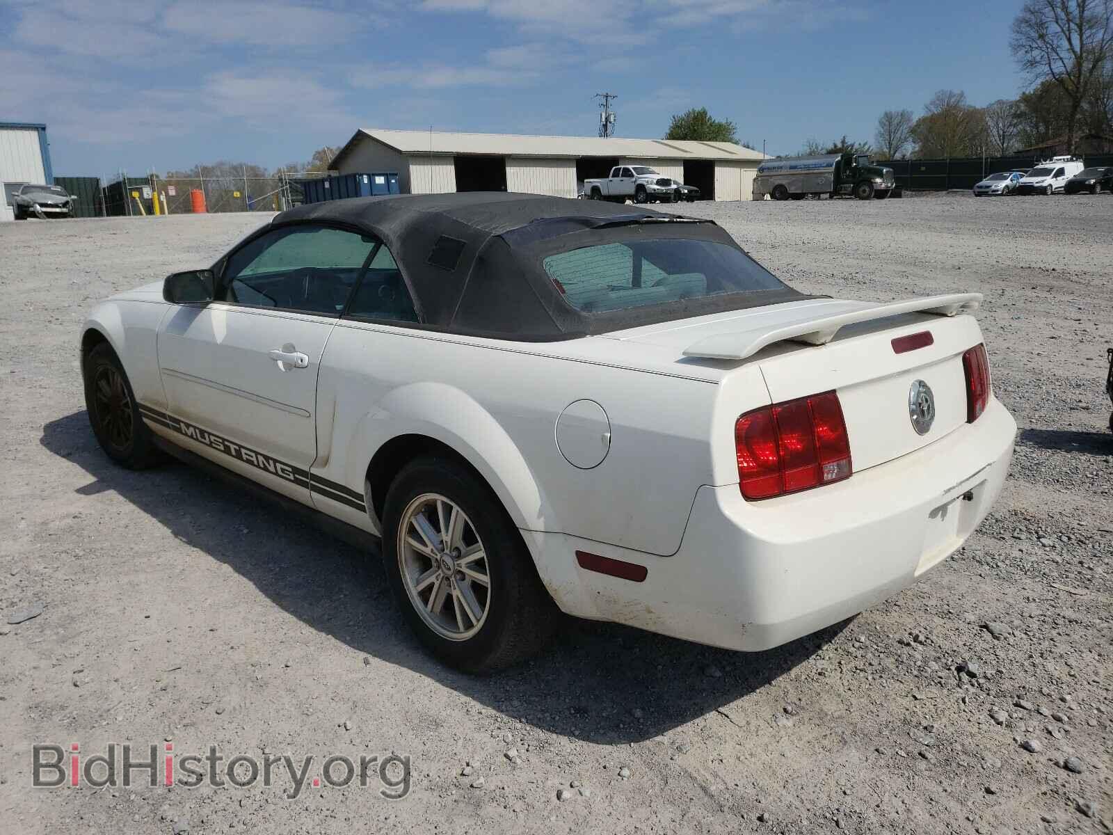 2006 FORD MUSTANG - VIN: 1ZVFT84N265244652 - Фото 3