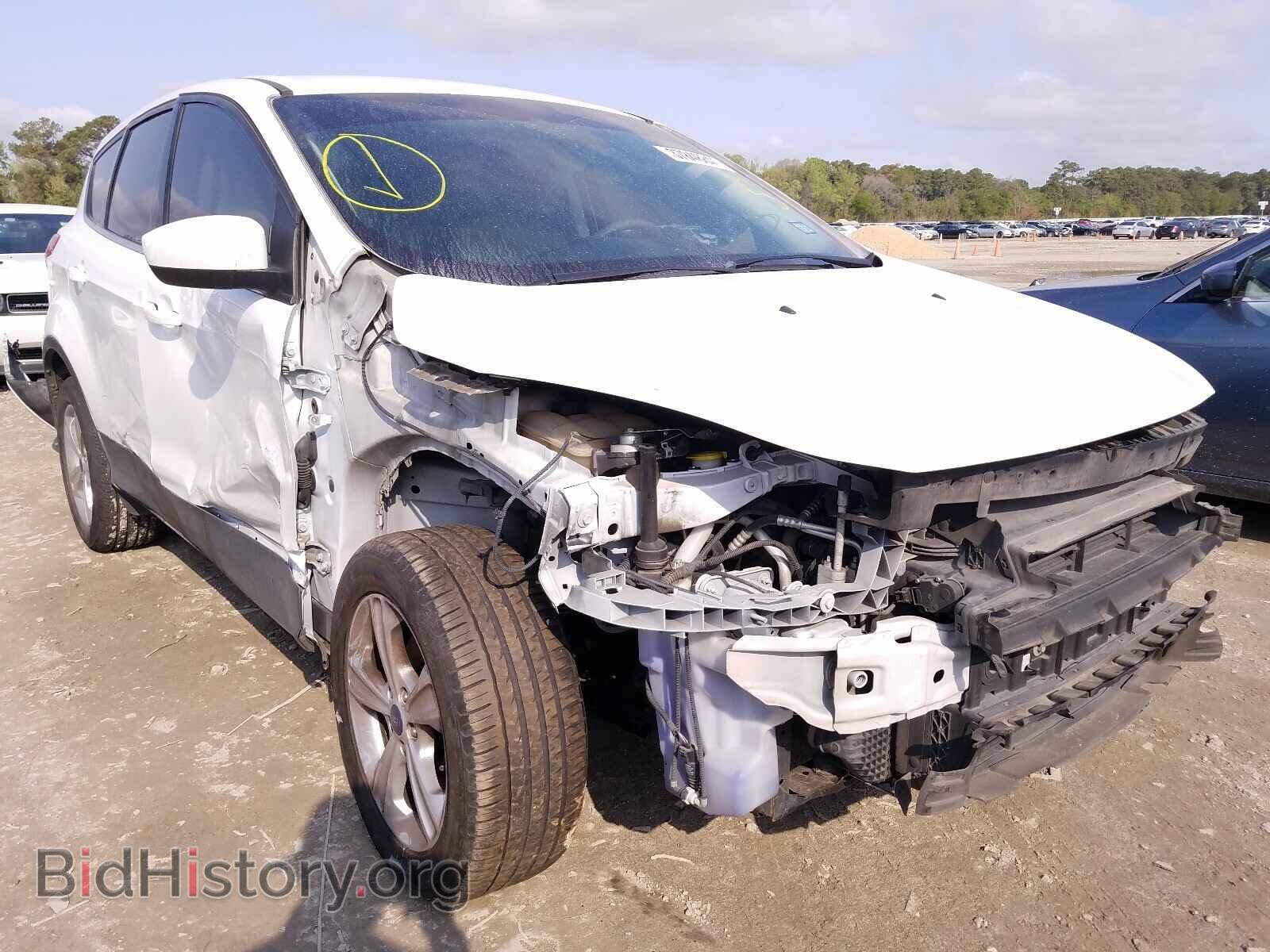 Фотография 1FMCU0GX2DUD94681 - FORD ESCAPE 2013