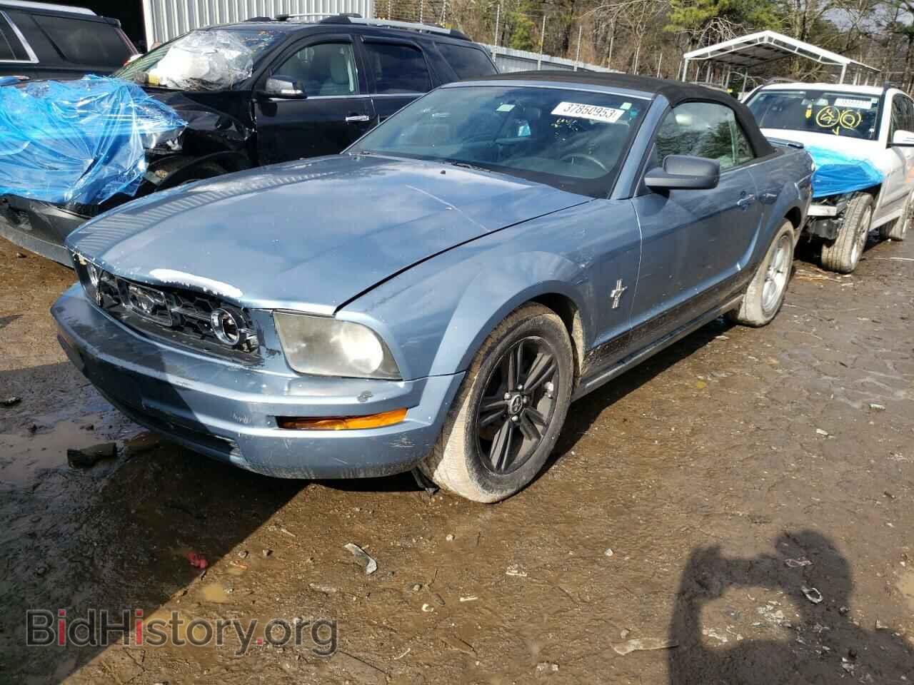 Photo 1ZVFT84N175339656 - FORD MUSTANG 2007