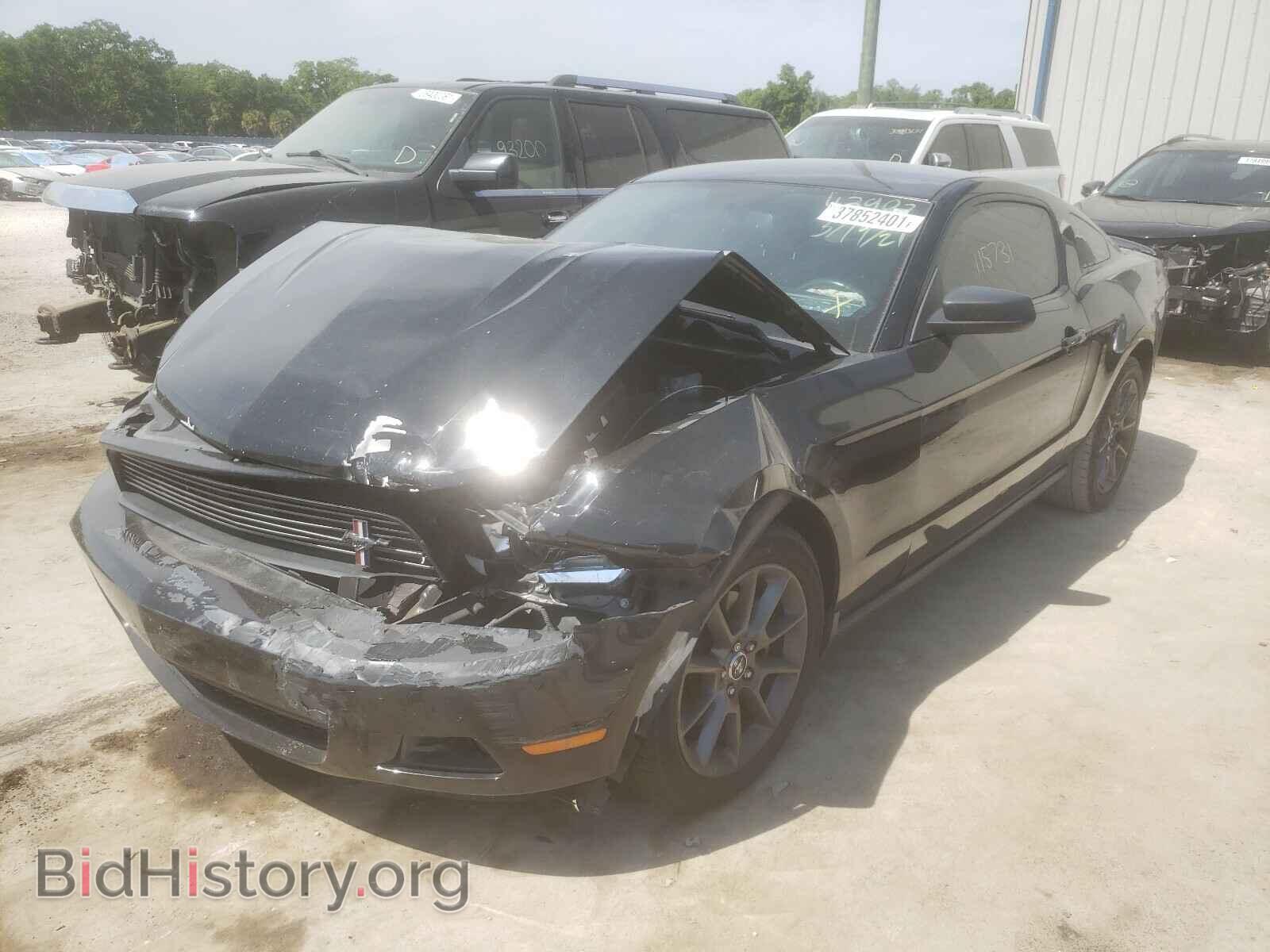 2011 FORD MUSTANG - VIN: 1ZVBP8AM3B5143502 - Фото 2