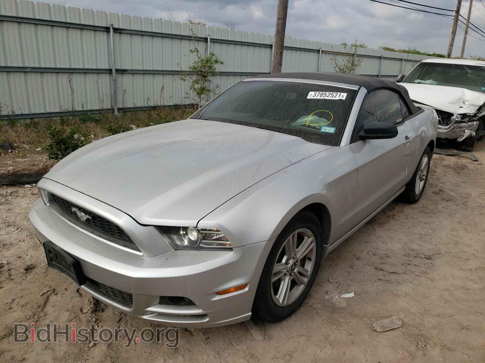 2014 FORD MUSTANG - VIN: 1ZVBP8EMXE5236628 - Фото 2