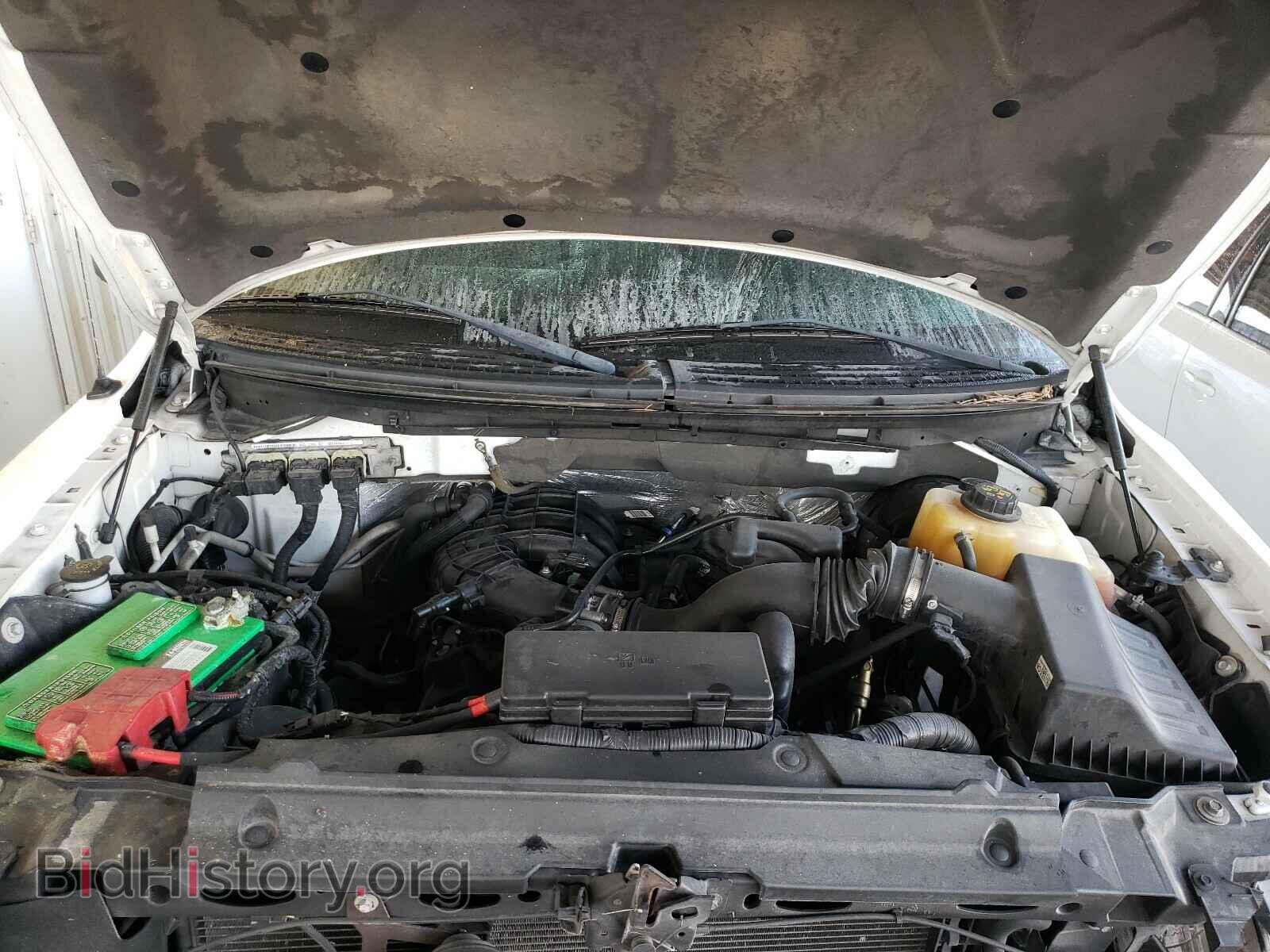 2013 FORD F150 - VIN: 1FTMF1CM2DKF53957 - Фото 5