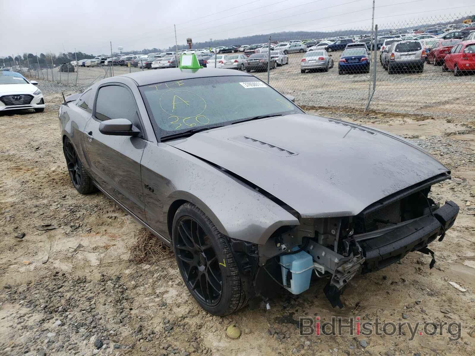 Photo 1ZVBP8CF2E5282281 - FORD MUSTANG 2014