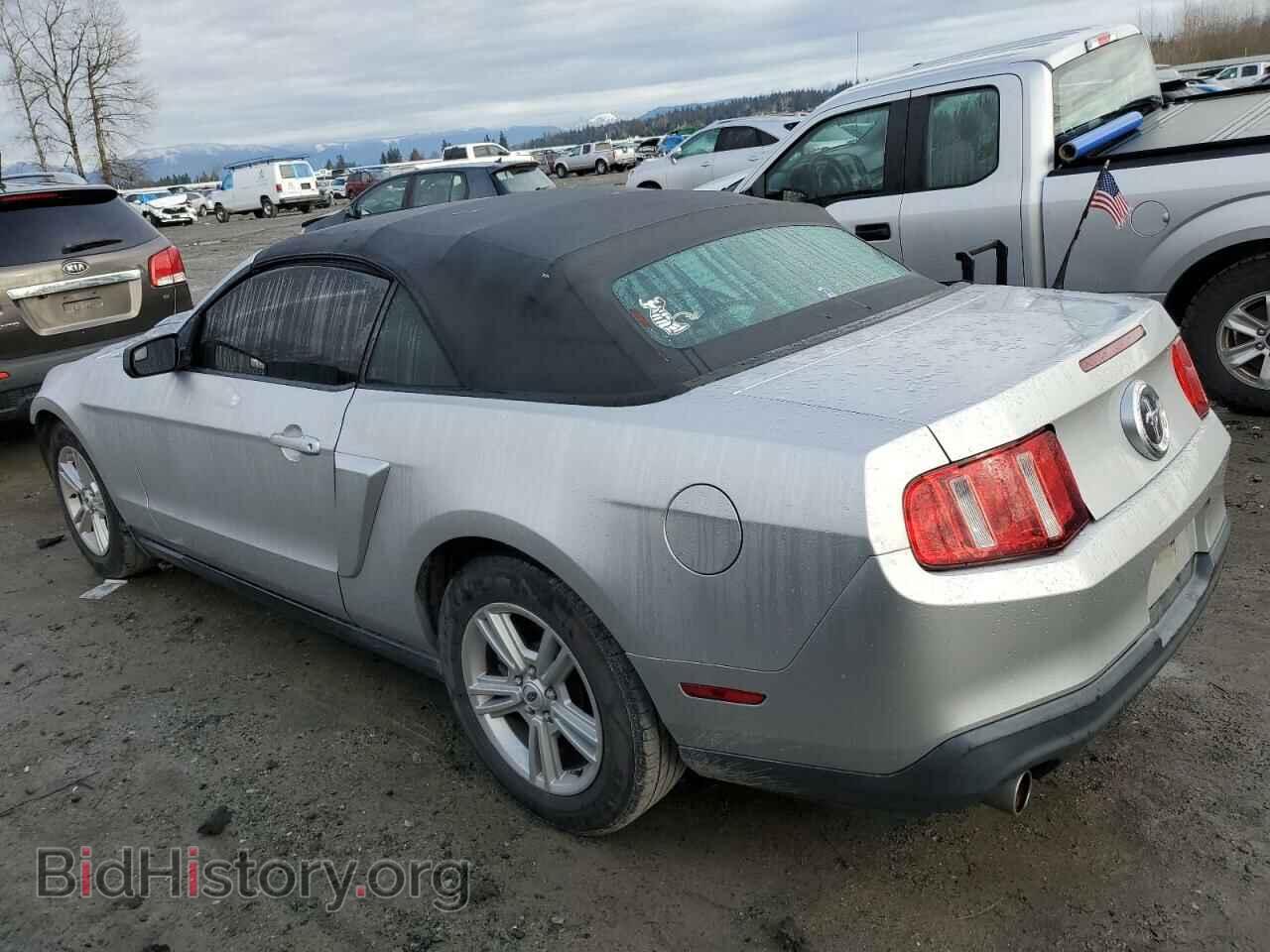 2012 FORD MUSTANG - VIN: 1ZVBP8EM5C5241054 - Фото 2