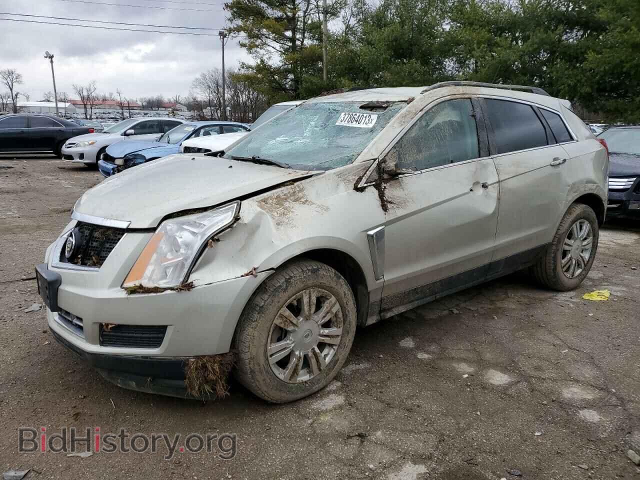 Фотография 3GYFNAE37DS646343 - CADILLAC SRX 2013