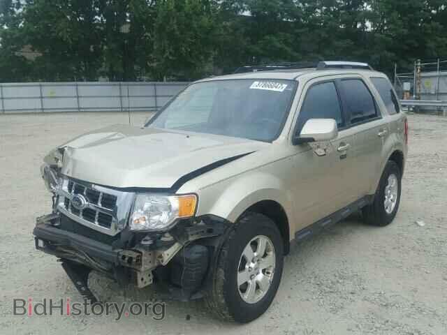 2011 FORD ESCAPE - VIN: 1FMCU9E70BKC65063 - Фото 2