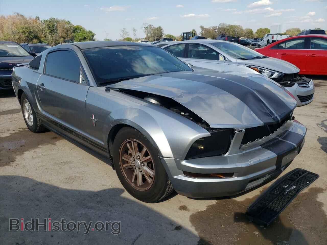 Photo 1ZVHT80N985139155 - FORD MUSTANG 2008