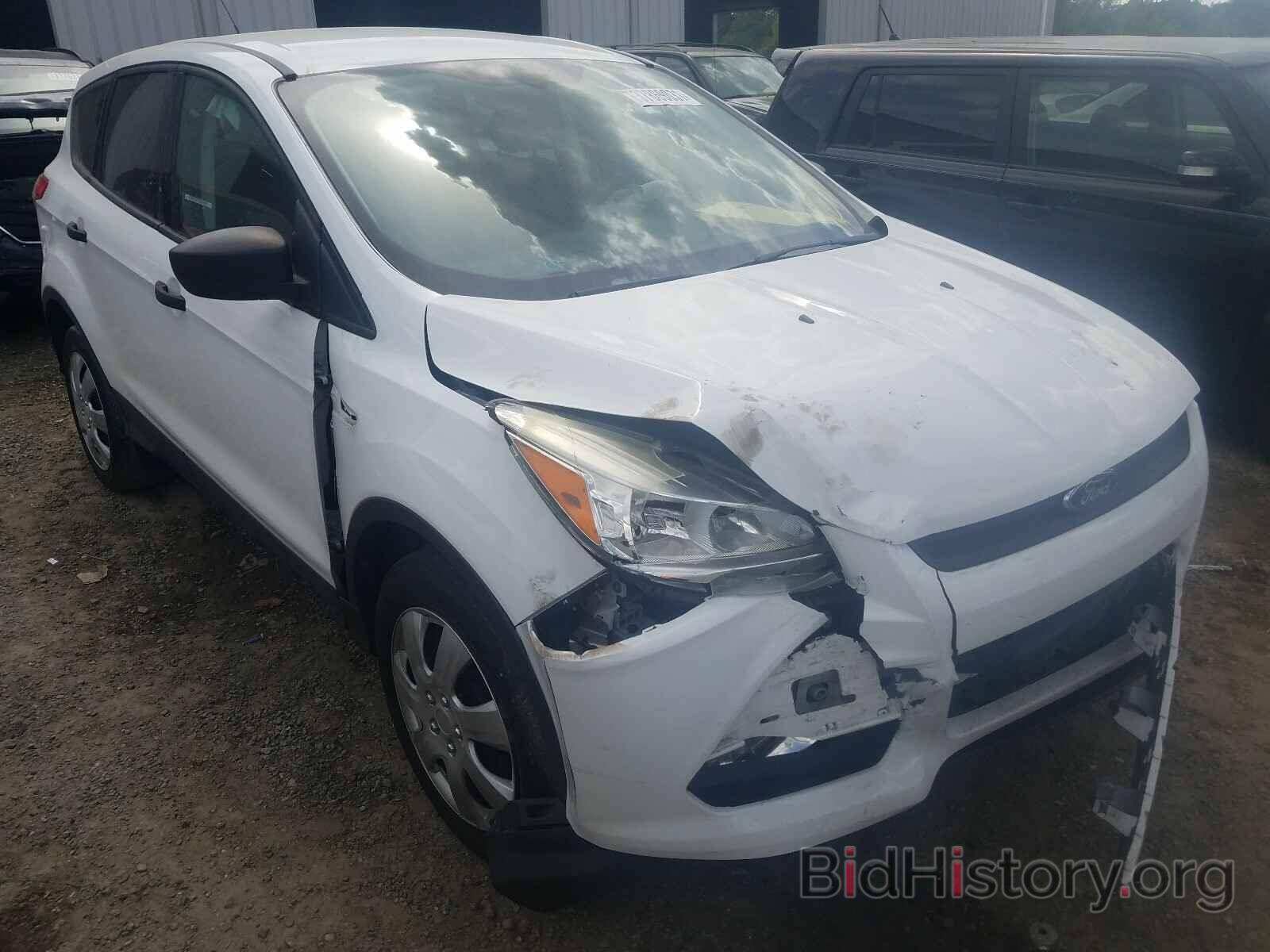 Photo 1FMCU0F7XDUD19194 - FORD ESCAPE 2013