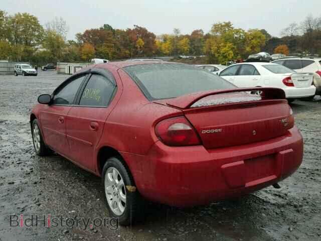 2005 DODGE NEON - VIN: 1B3ES56C45D127205 - Фото 3
