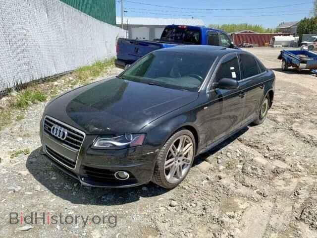 2010 AUDI A4 - VIN: WAUHFCFL9AN025307 - Фото 2