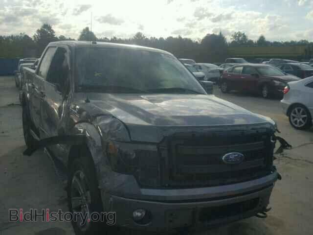 Фотография 1FTFW1EF2DFD90551 - FORD F150 2013