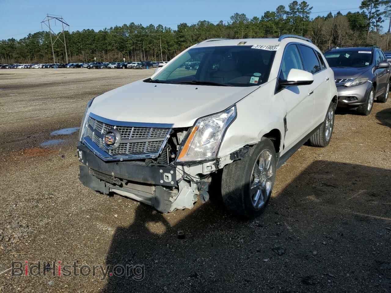 Фотография 3GYFNBE32CS545179 - CADILLAC SRX 2012