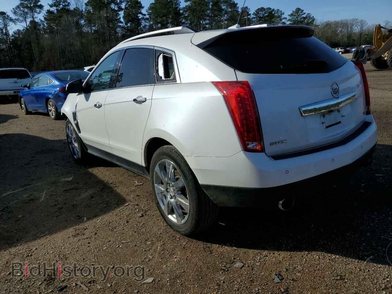 2012 CADILLAC SRX - VIN: 3GYFNBE32CS545179 - Фото 2