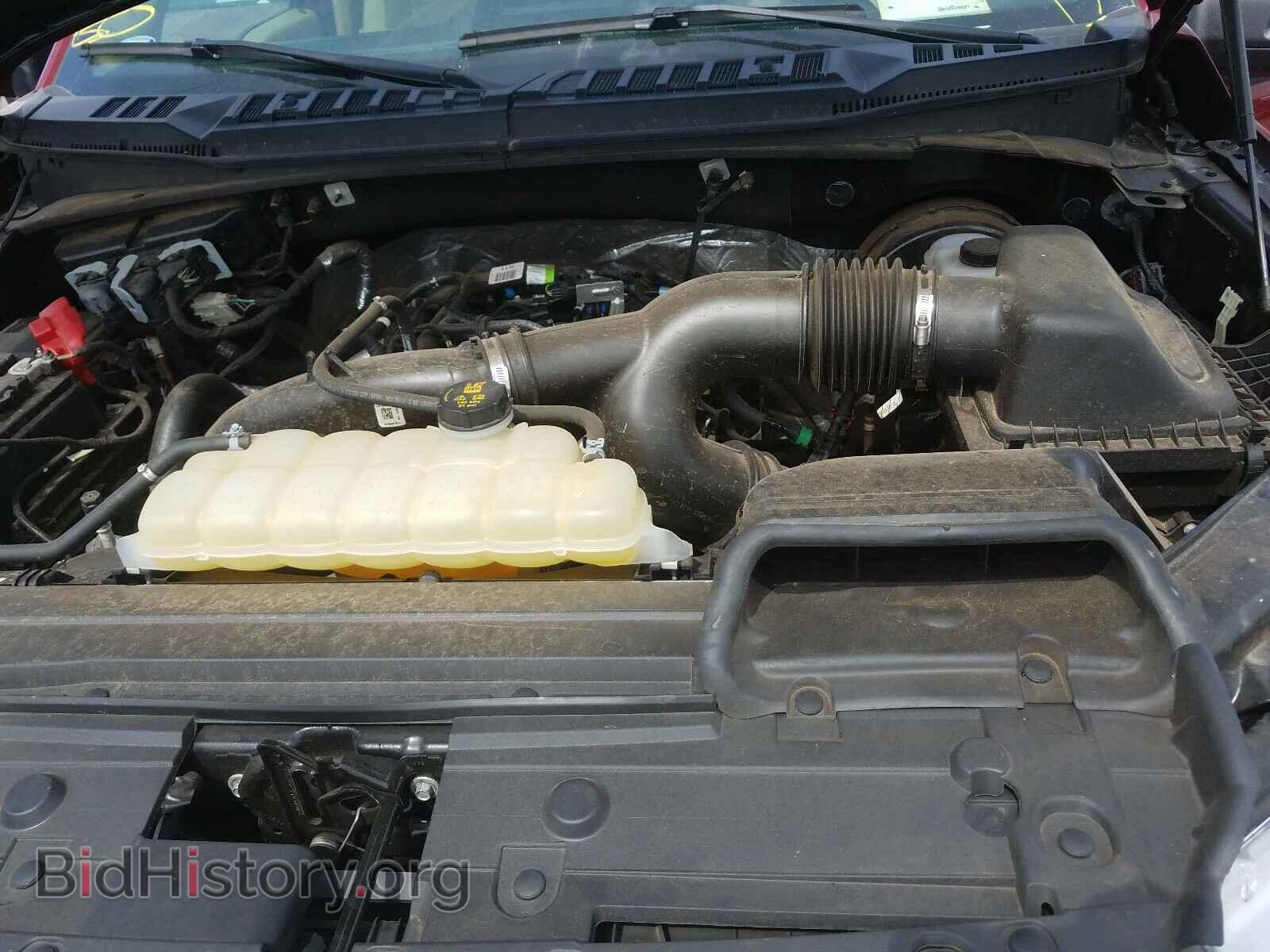 2019 FORD F150 - VIN: 1FTEW1CP1KKE32011 - Фото 7