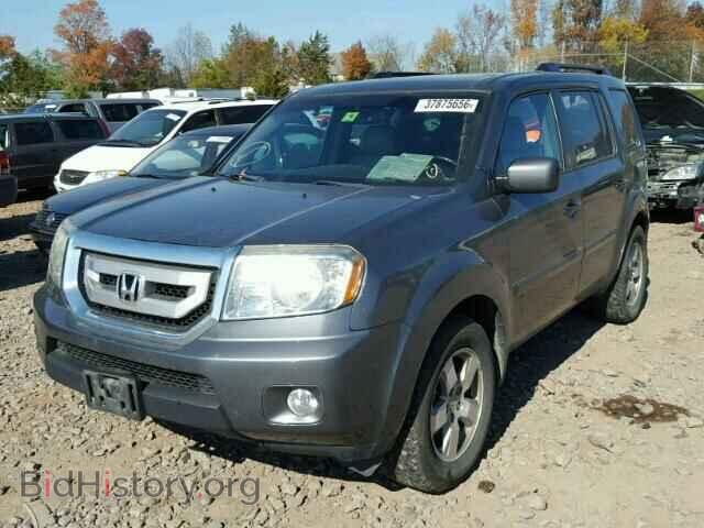 2011 HONDA PILOT - VIN: 5FNYF4H50BB024621 - Фото 2