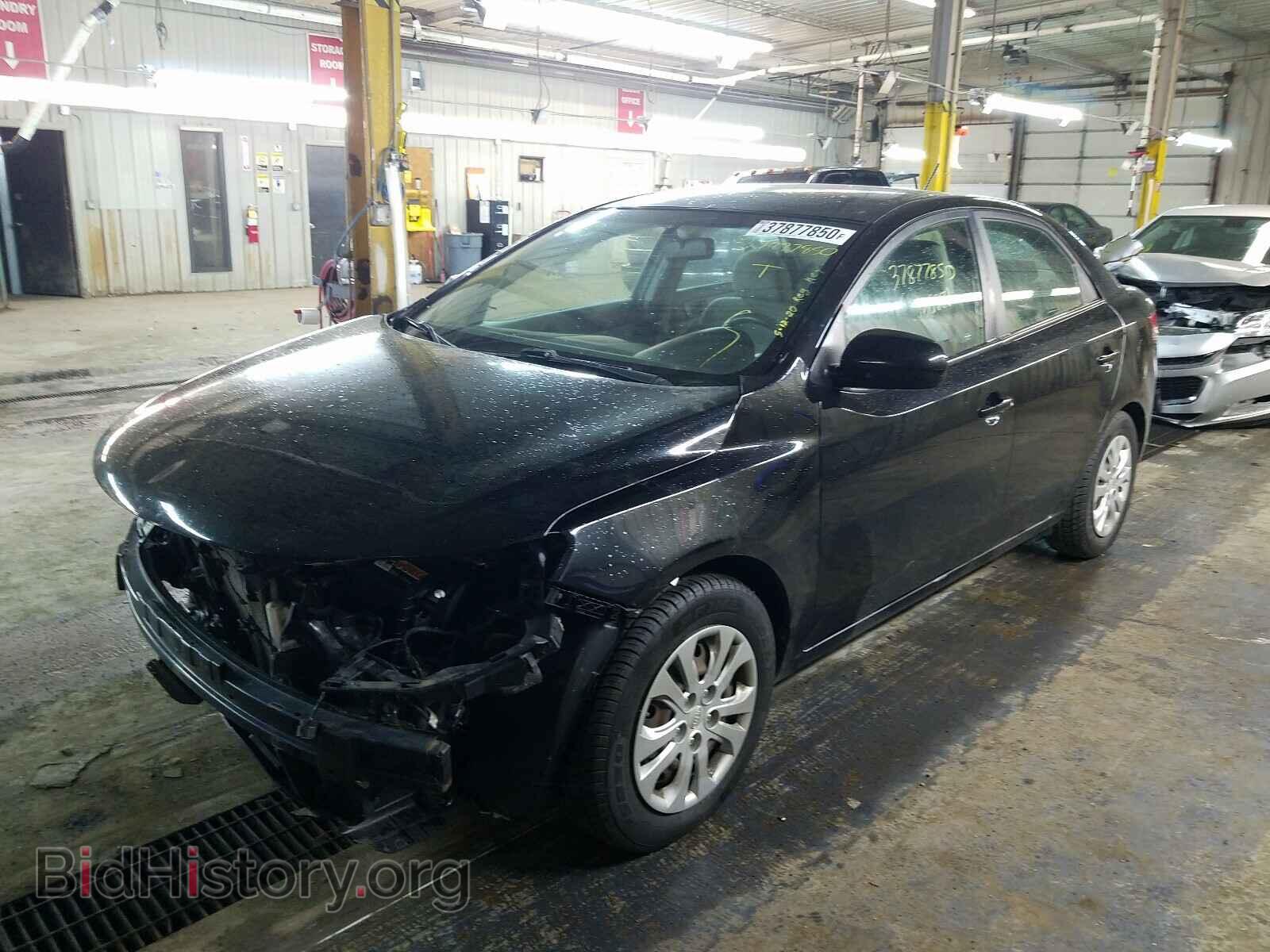 2012 KIA FORTE - VIN: KNAFT4A26C5582960 - Фото 2