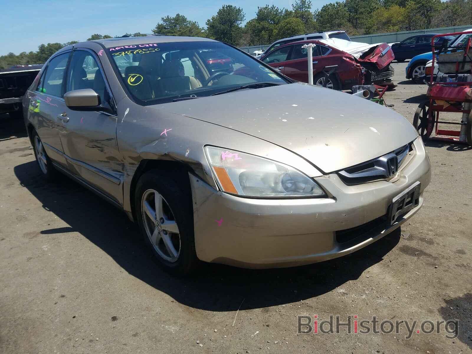 Photo 1HGCM56745A002095 - HONDA ACCORD 2005