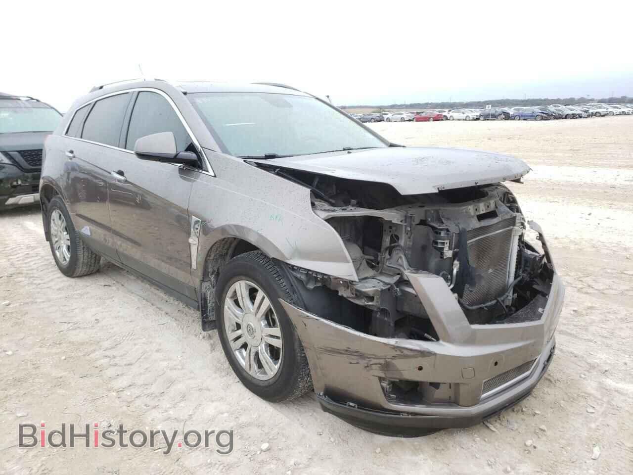 Photo 3GYFNAEY8BS581902 - CADILLAC SRX 2011
