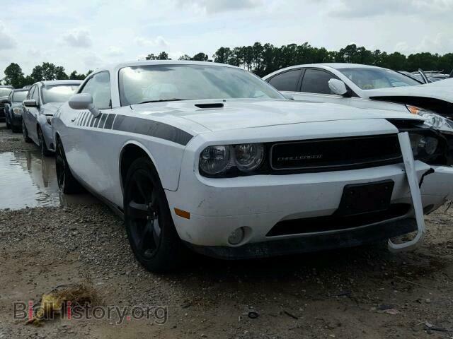 Photo 2C3CDYAG1DH642101 - DODGE CHALLENGER 2013