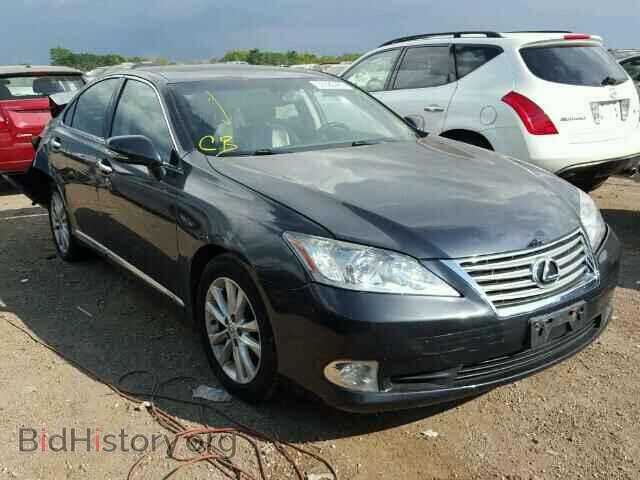 Фотография JTHBK1EG0A2375583 - LEXUS ES 350 2010