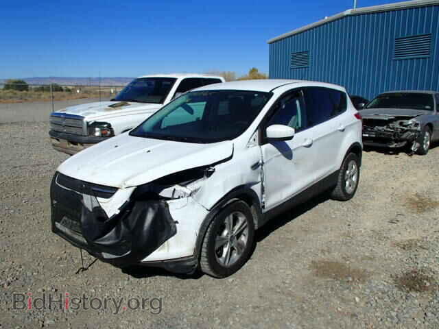 2013 FORD ESCAPE - VIN: 1FMCU9G97DUB23461 - Photo 2