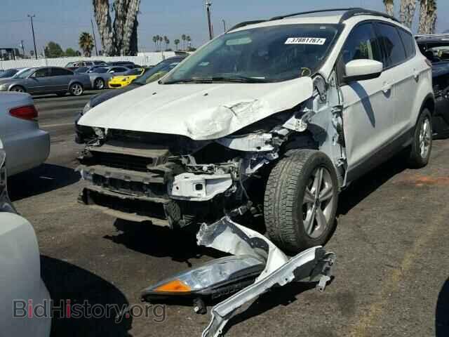 2013 FORD ESCAPE - VIN: 1FMCU0GX9DUB70758 - Фото 2