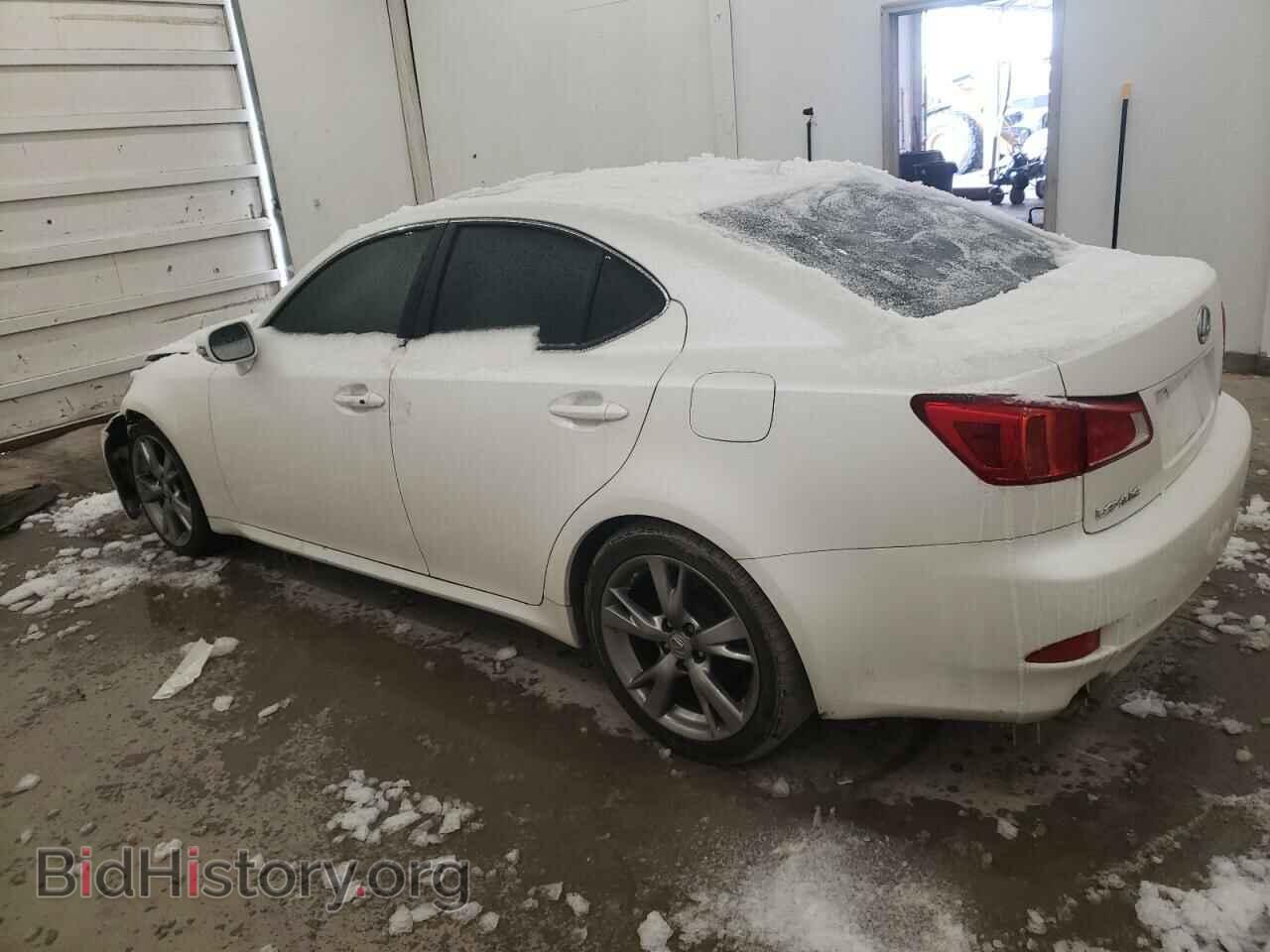 2009 LEXUS IS - VIN: JTHBK262495102827 - Фото 2