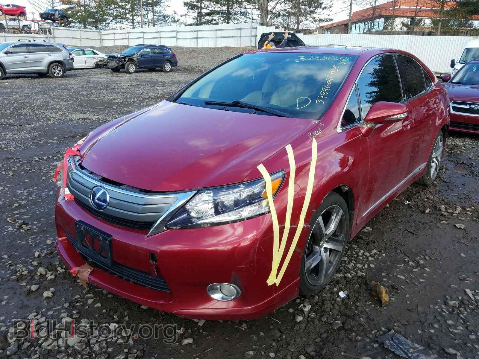 2010 LEXUS HS - VIN: JTHBB1BA9A2026325 - Фото 2