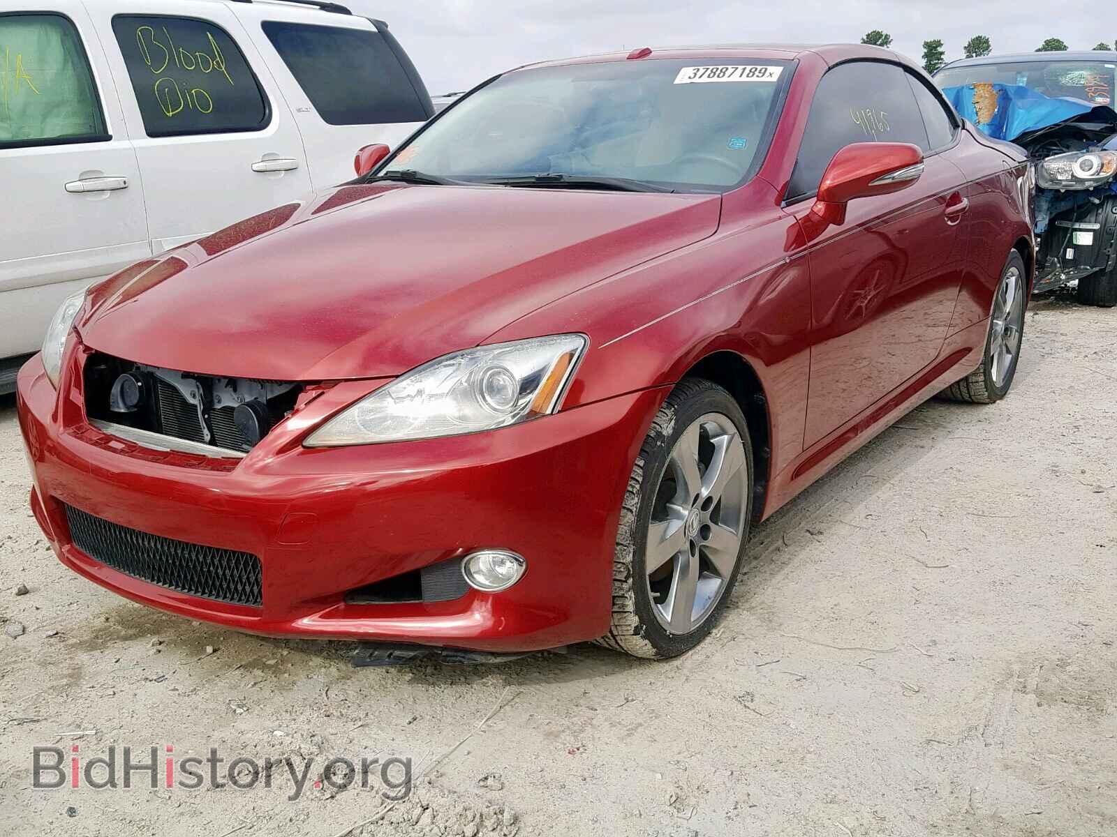 2010 LEXUS IS 250 - VIN: JTHFF2C25A2502802 - Фото 2