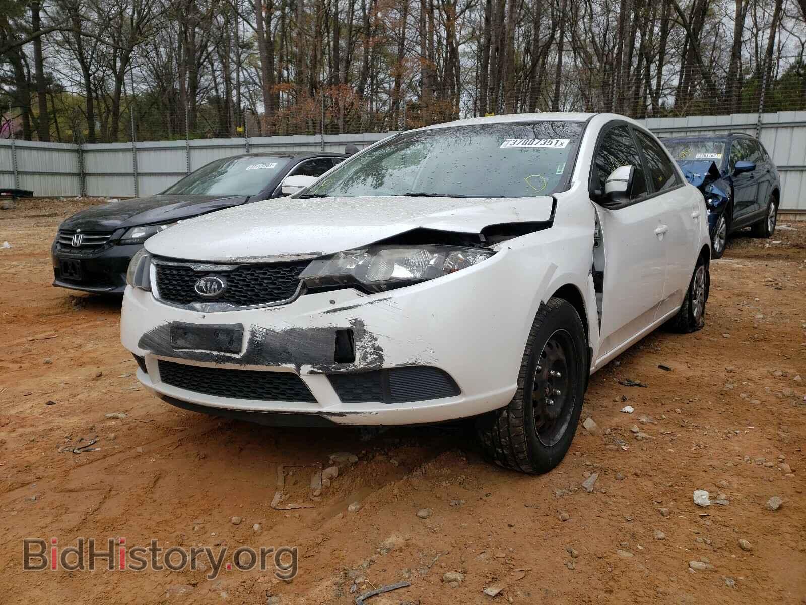 2013 KIA FORTE - VIN: KNAFU4A24D5695174 - Фото 2