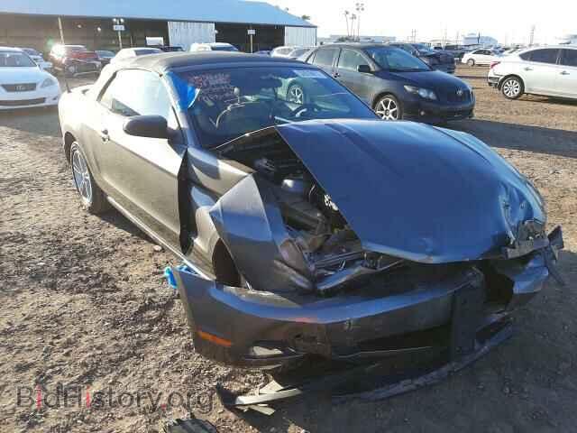 Фотография 1ZVBP8EN3A5122442 - FORD MUSTANG 2010