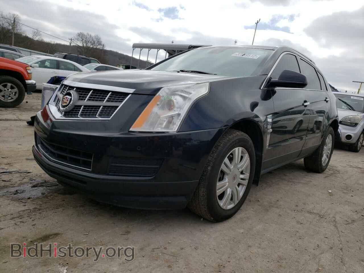 2011 CADILLAC SRX - VIN: 3GYFNAEY6BS564533 - Фото 2