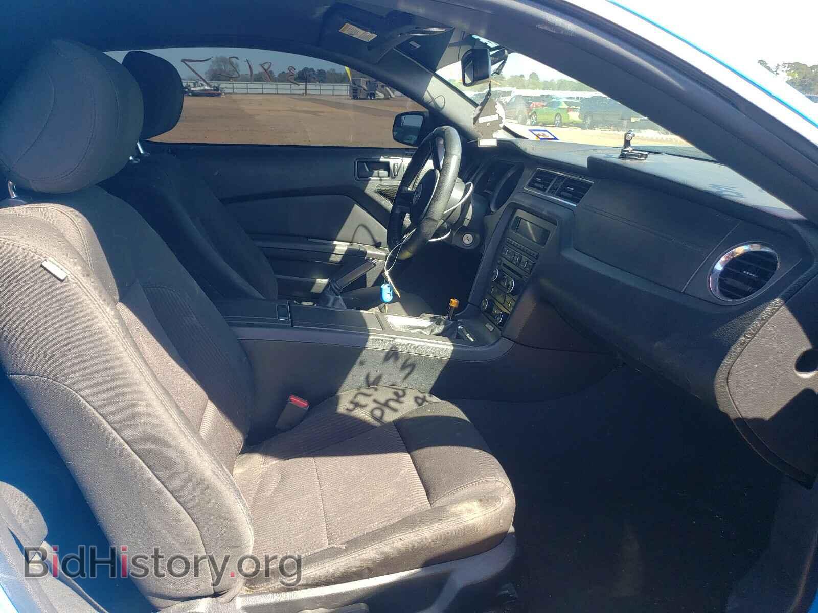2013 FORD MUSTANG - VIN: 1ZVBP8AM5D5227128 - Фото 5