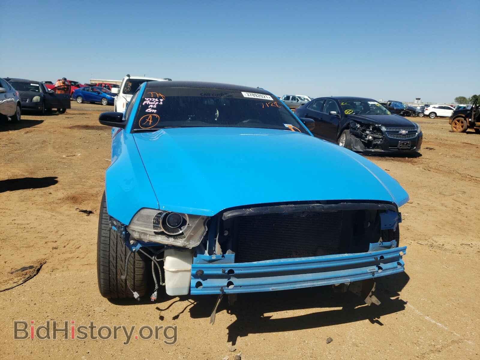 2013 FORD MUSTANG - VIN: 1ZVBP8AM5D5227128 - Фото 9