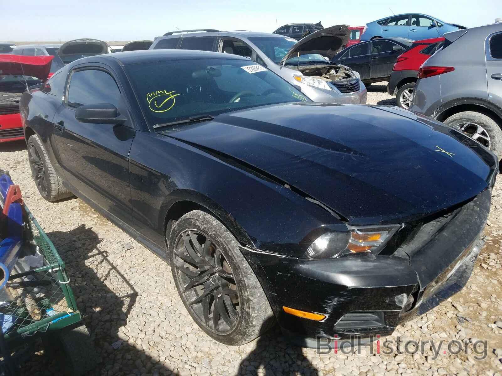 Фотография 1ZVBP8AM6B5150153 - FORD MUSTANG 2011