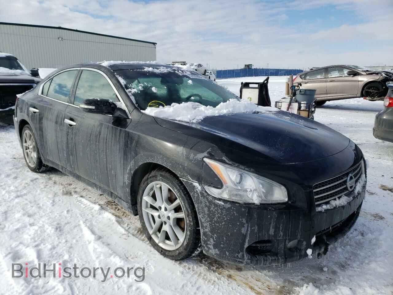 Photo 1N4AA5AP5AC831977 - NISSAN MAXIMA 2010
