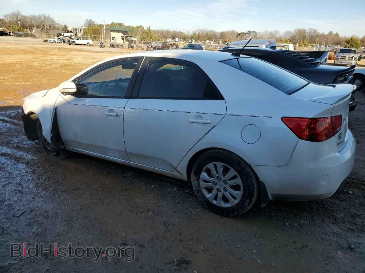 2012 KIA FORTE - VIN: KNAFU4A2XC5594977 - Фото 2