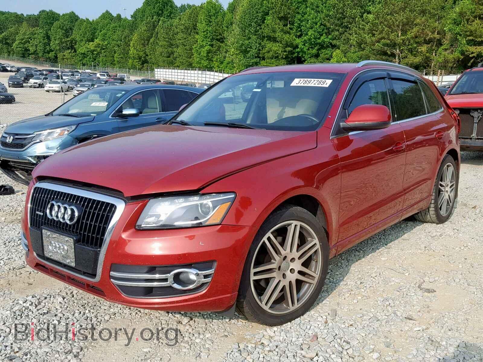 2010 AUDI Q5 - VIN: WA1LKAFP7AA094949 - Фото 2