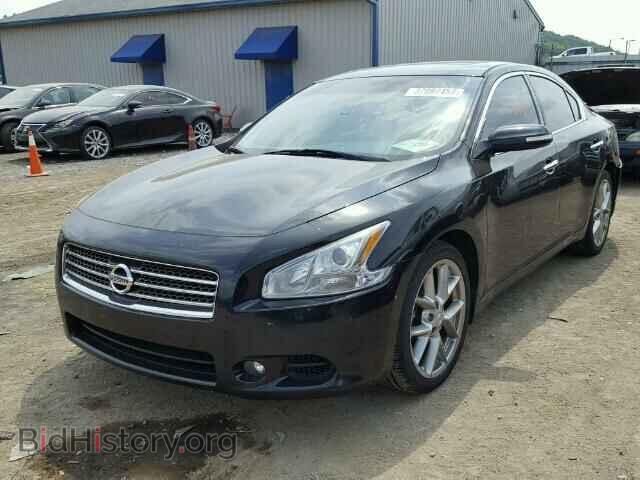 2010 NISSAN MAXIMA - VIN: 1N4AA5AP3AC857302 - Фото 2