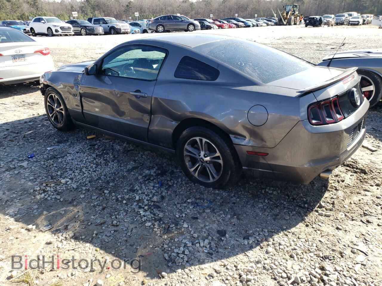 2013 FORD MUSTANG - VIN: 1ZVBP8AM4D5261089 - Фото 2