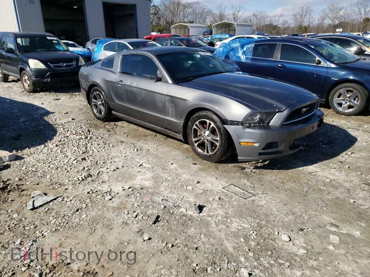 2013 FORD MUSTANG - VIN: 1ZVBP8AM4D5261089 - Фото 4